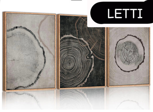 Tree Ring Framed Canvas